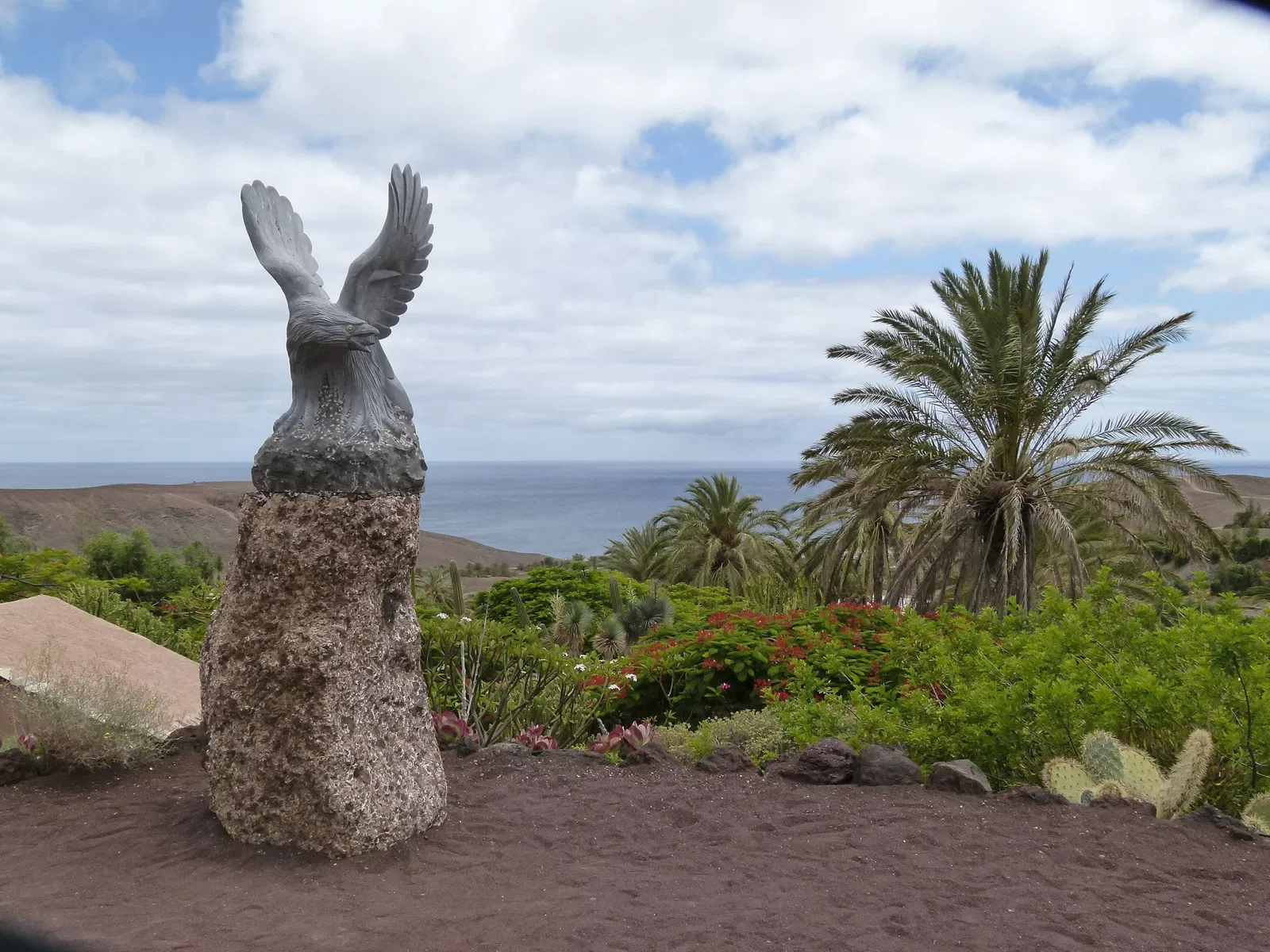 Oasis Wildlife Fuerteventura