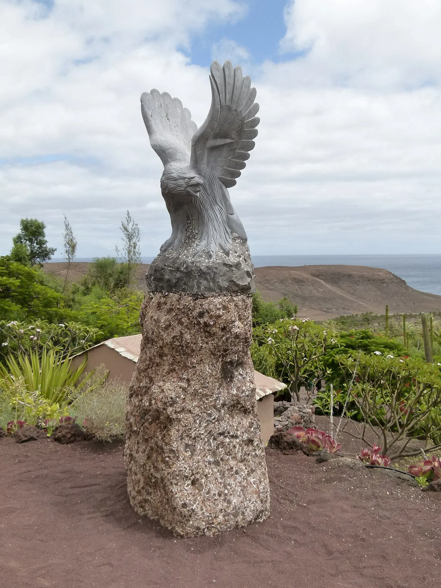 Oasis Wildlife Fuerteventura