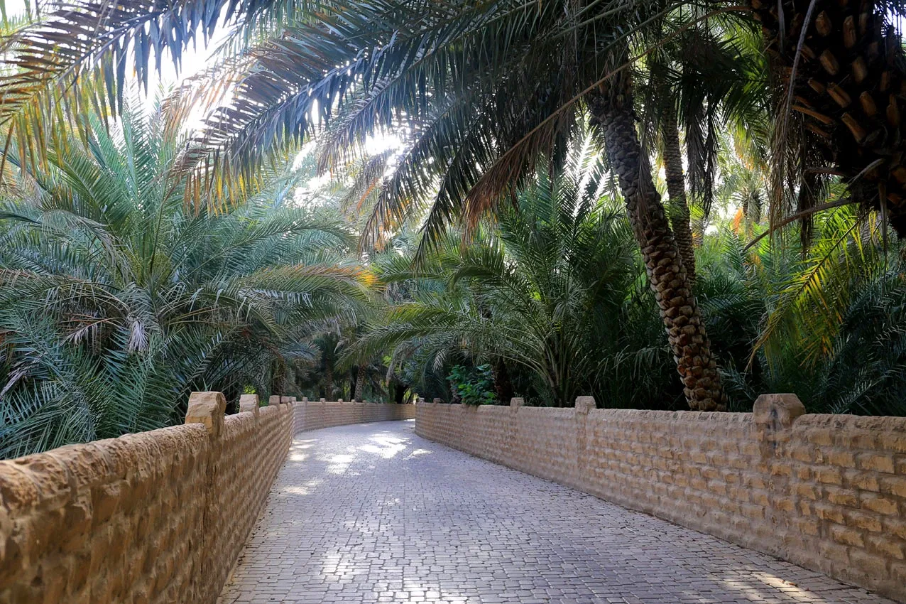Oasis Wildlife Fuerteventura