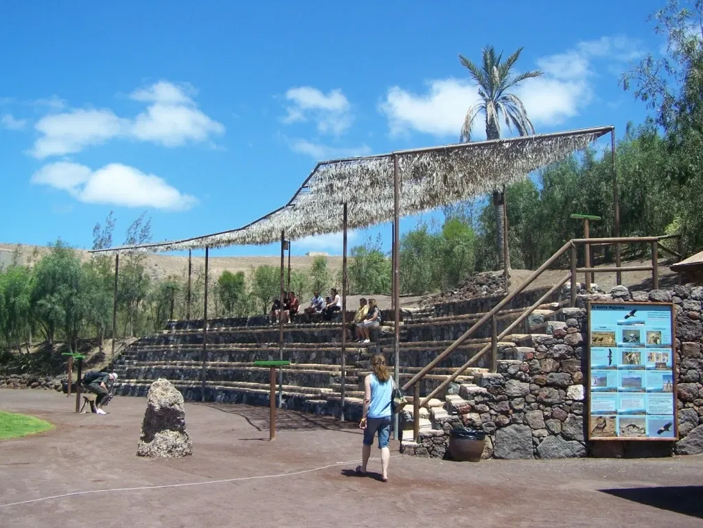 Oasis Wildlife Fuerteventura