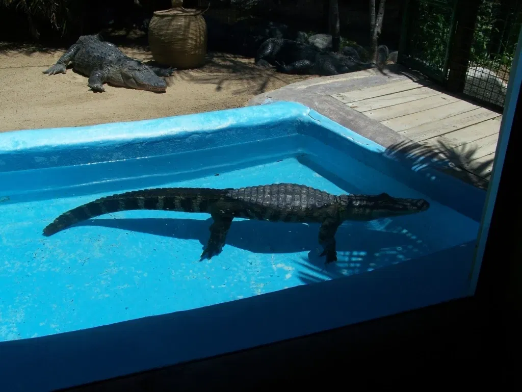 Oasis Wildlife Fuerteventura