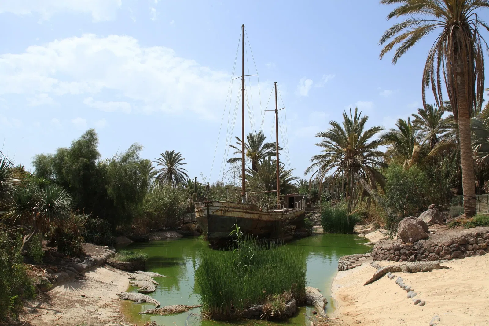Oasis Wildlife Fuerteventura