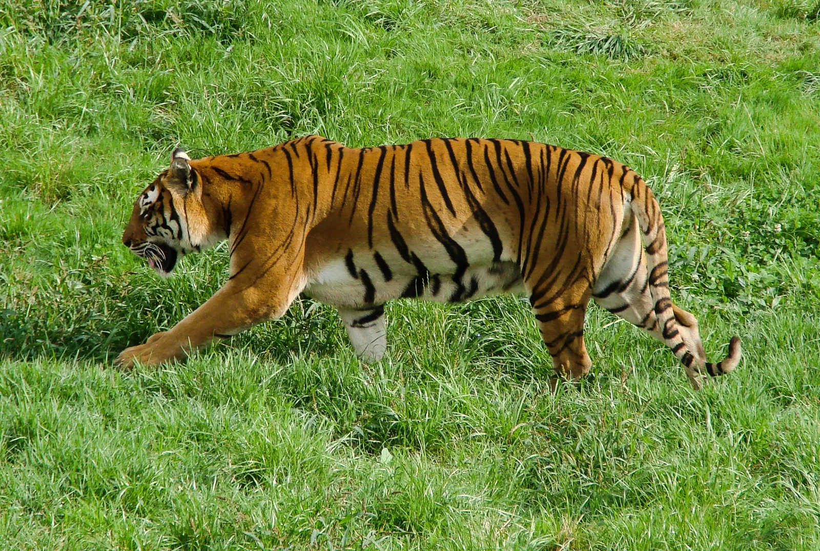 Parque de la Naturaleza de Cabárceno