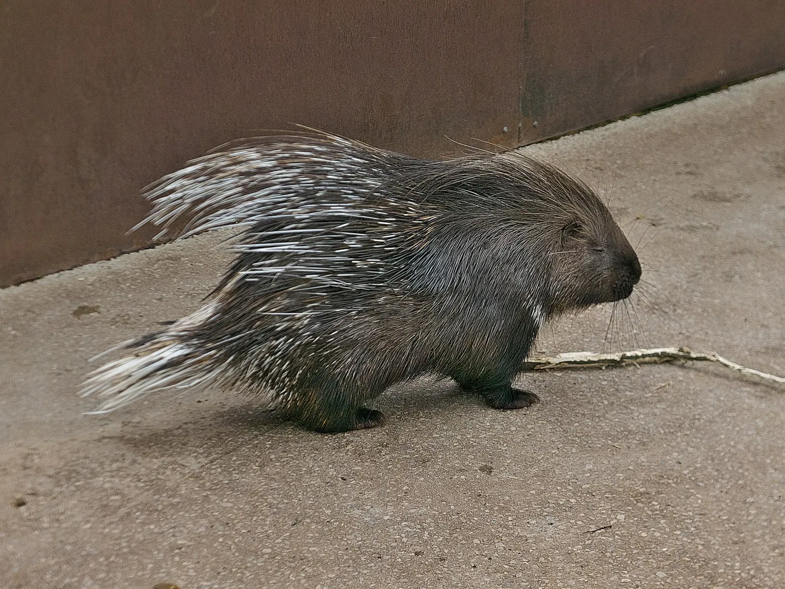 Cabarceno Natural Park