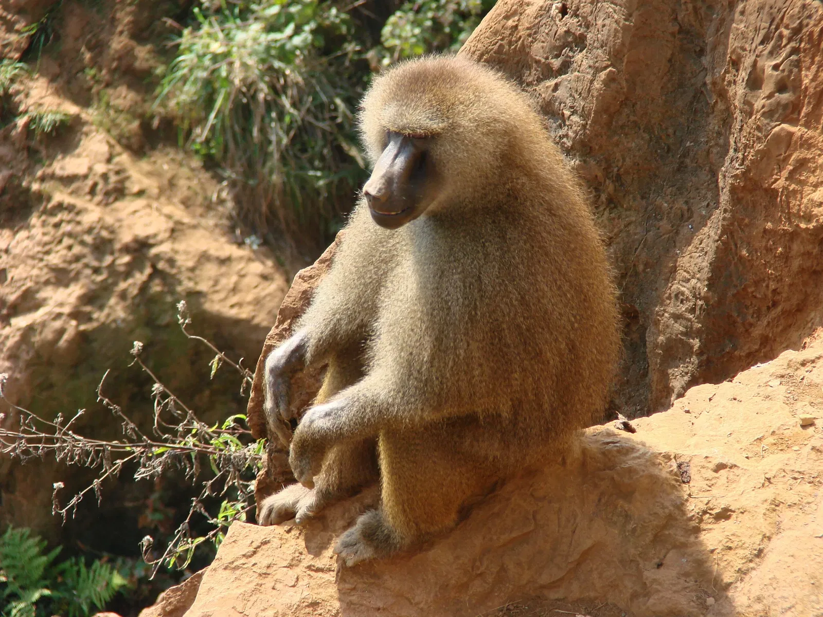 Cabarceno Natural Park
