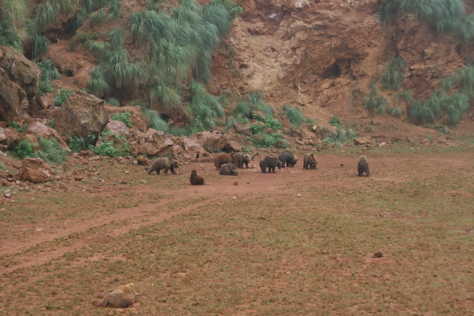 Parc de la nature de Cabárceno