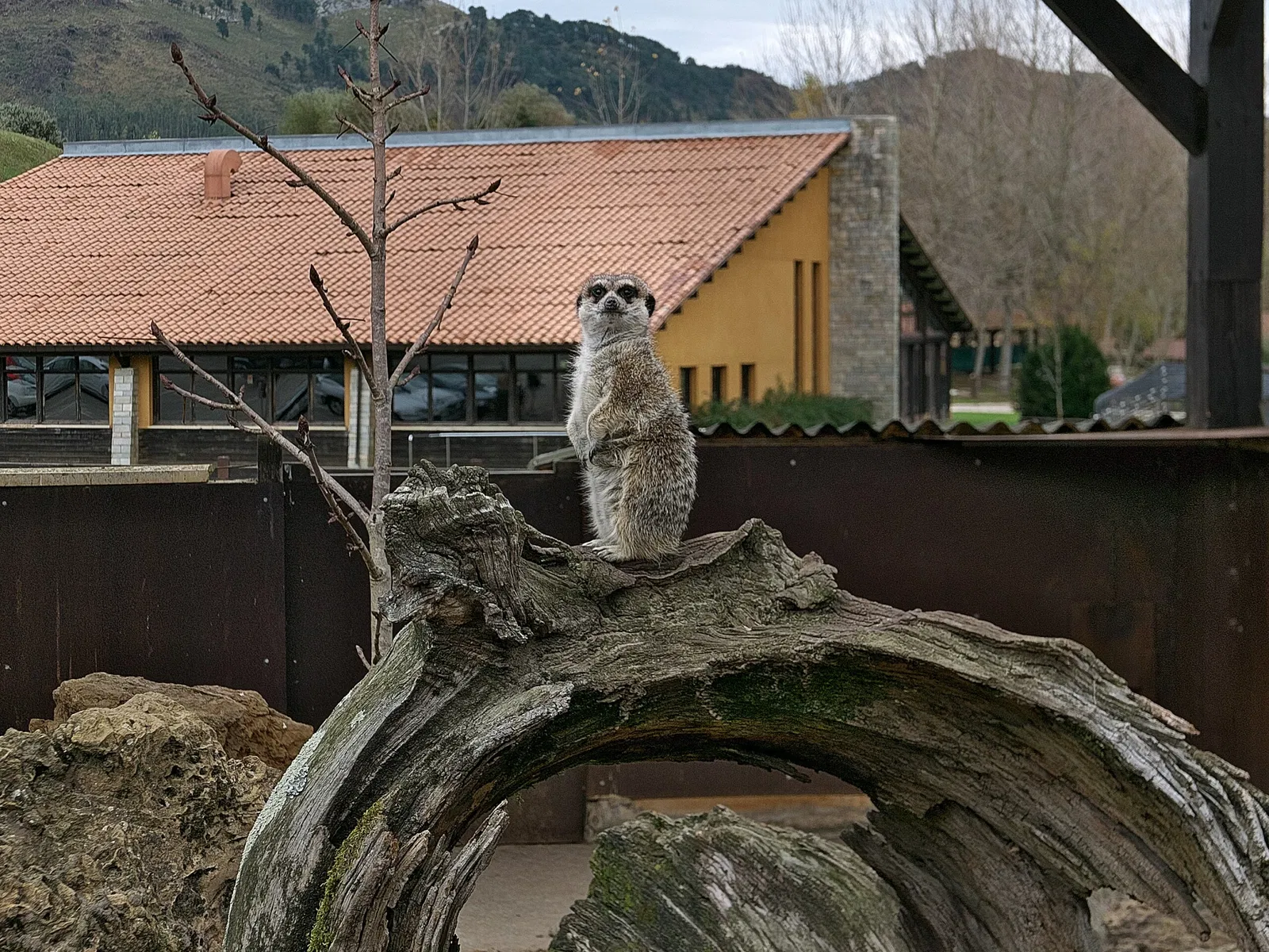 Parque de la Naturaleza de Cabárceno