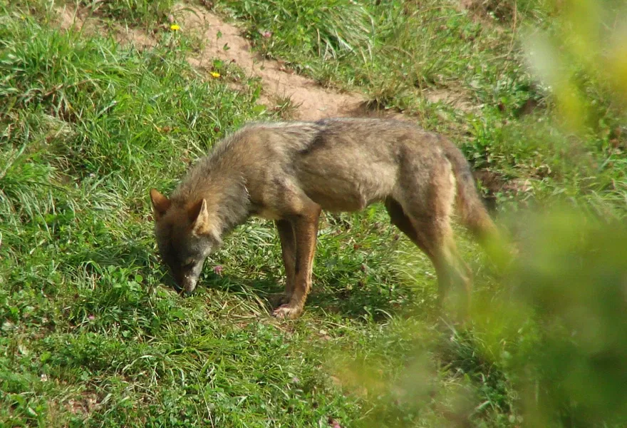 Parque de la Naturaleza de Cabárceno