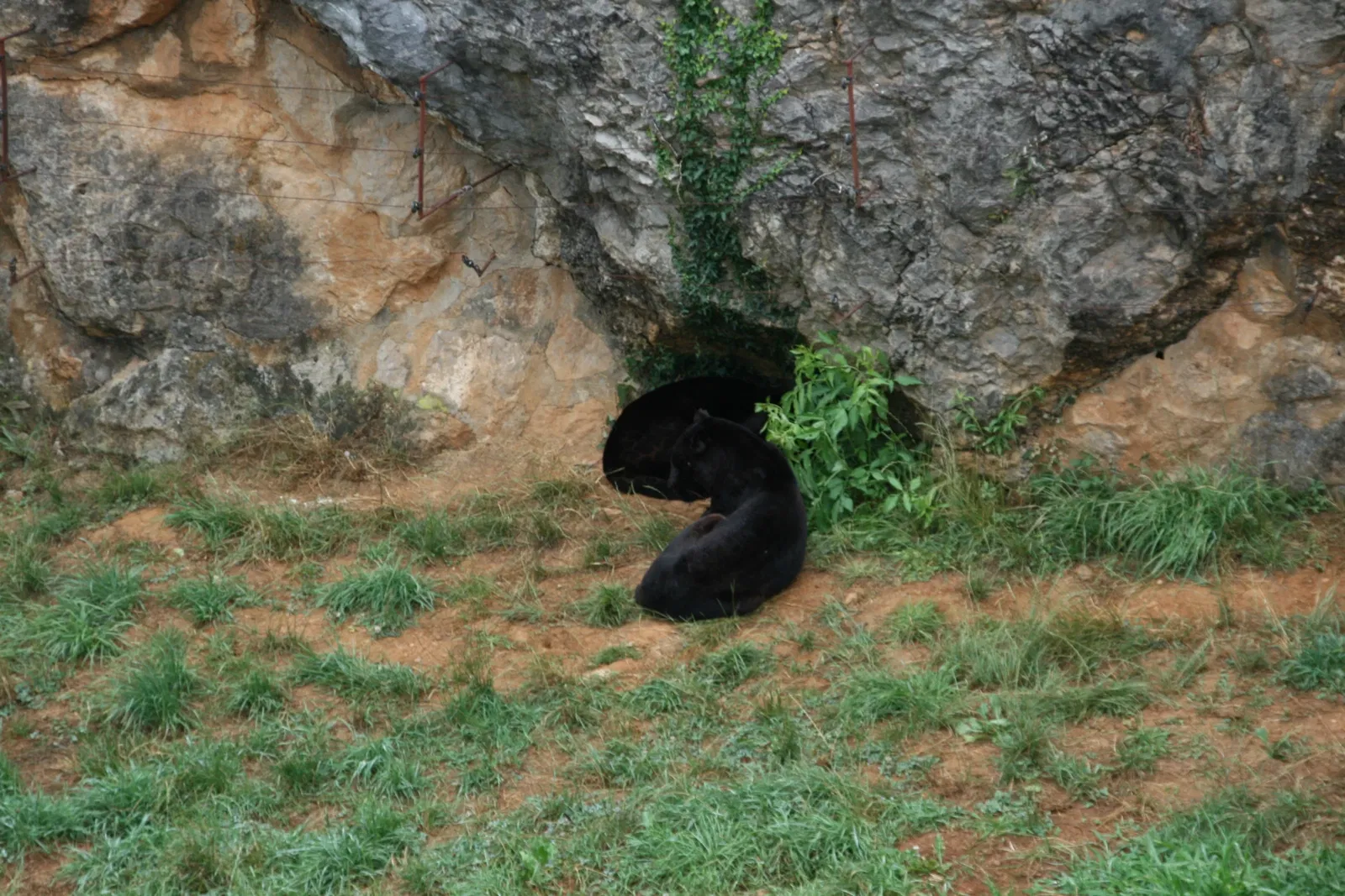 Cabarceno Natural Park