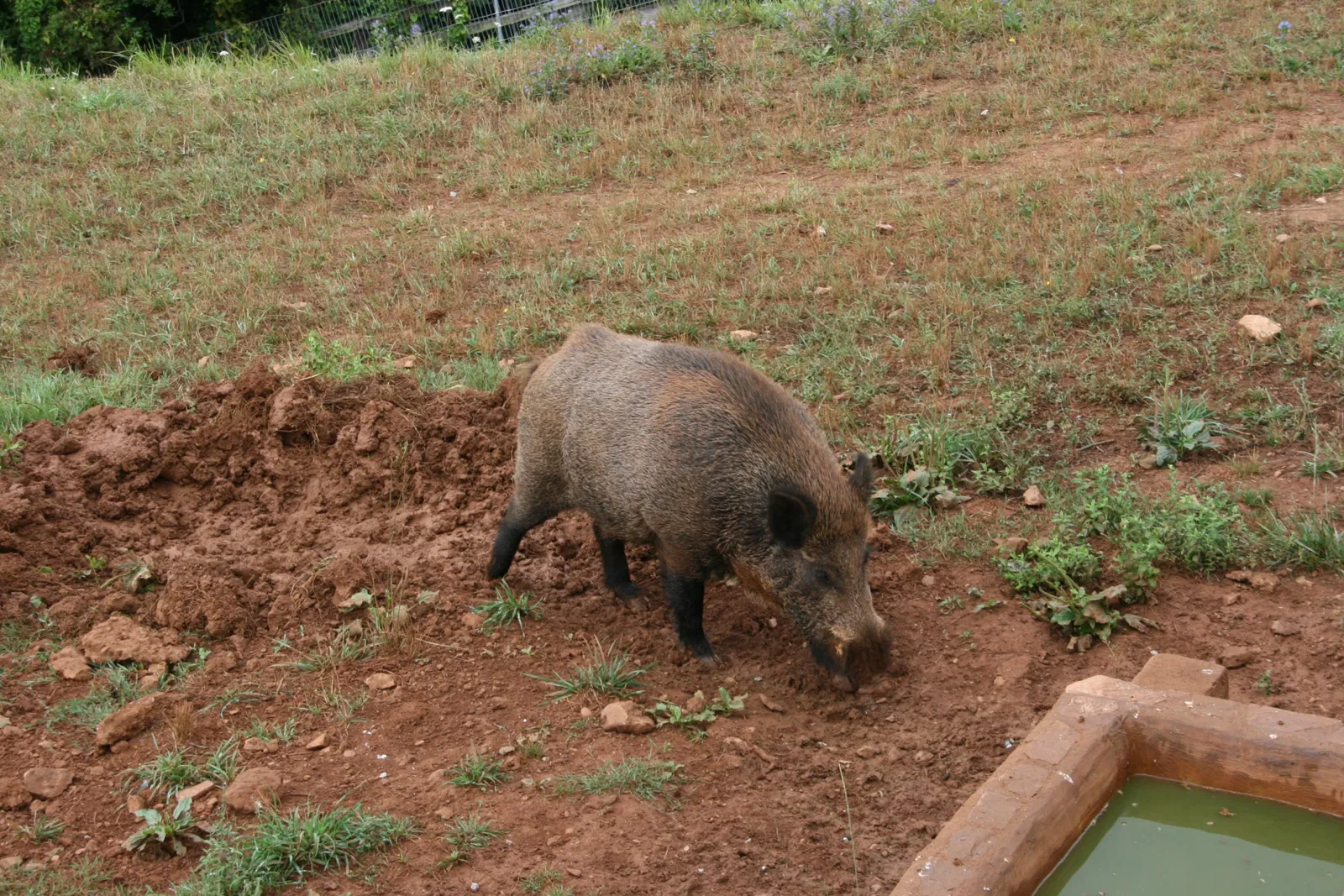 Parc de la nature de Cabárceno