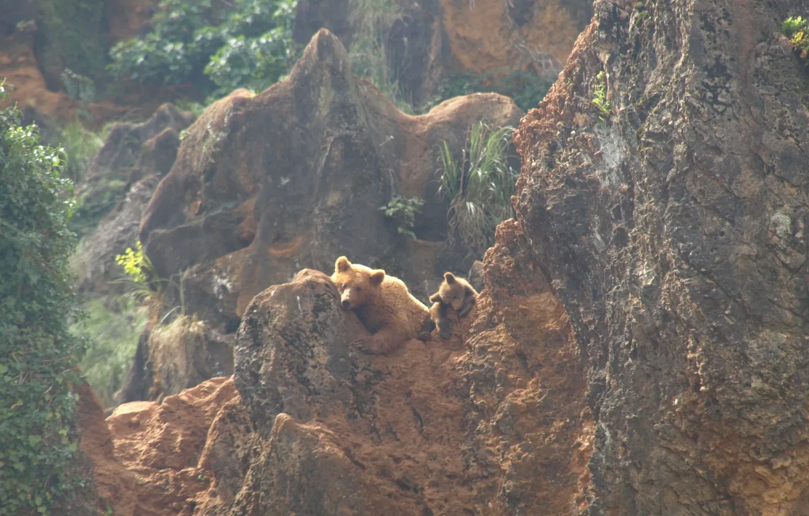 Parc de la nature de Cabárceno