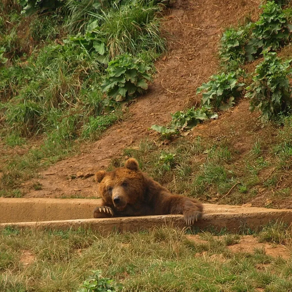 Parc de la nature de Cabárceno
