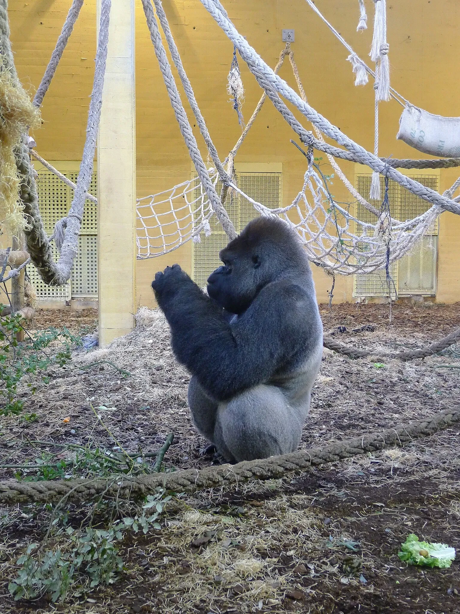 Cabarceno Natural Park