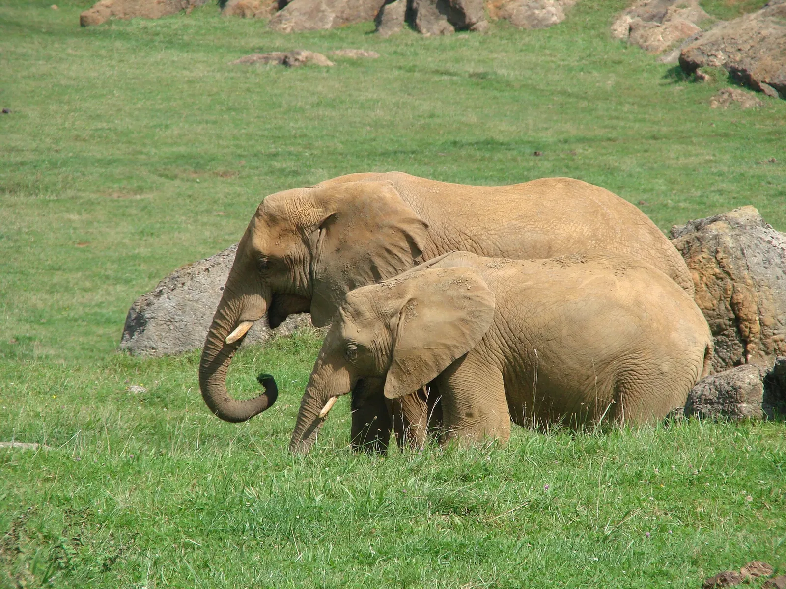 Parc de la nature de Cabárceno