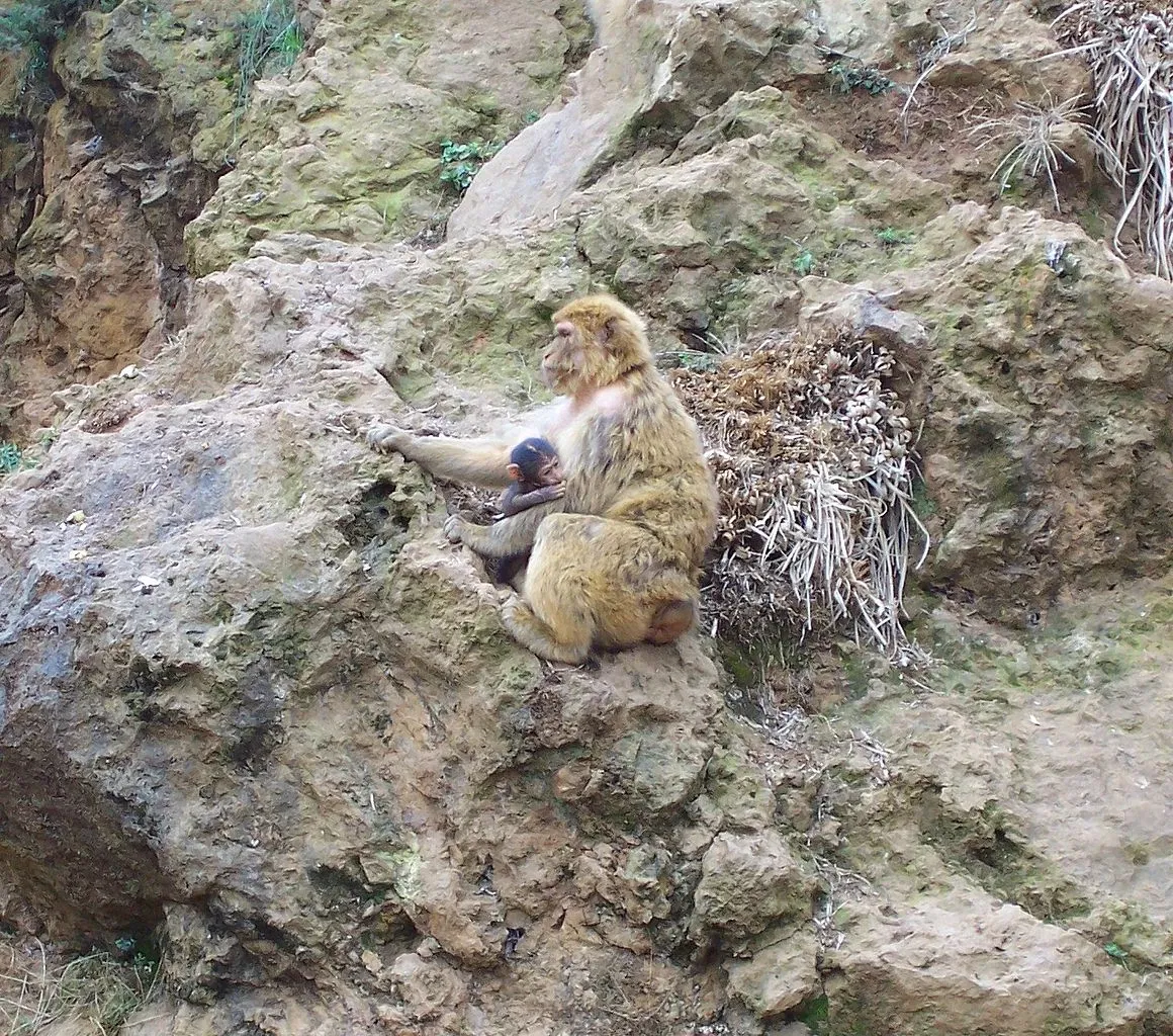 Parque de la Naturaleza de Cabárceno