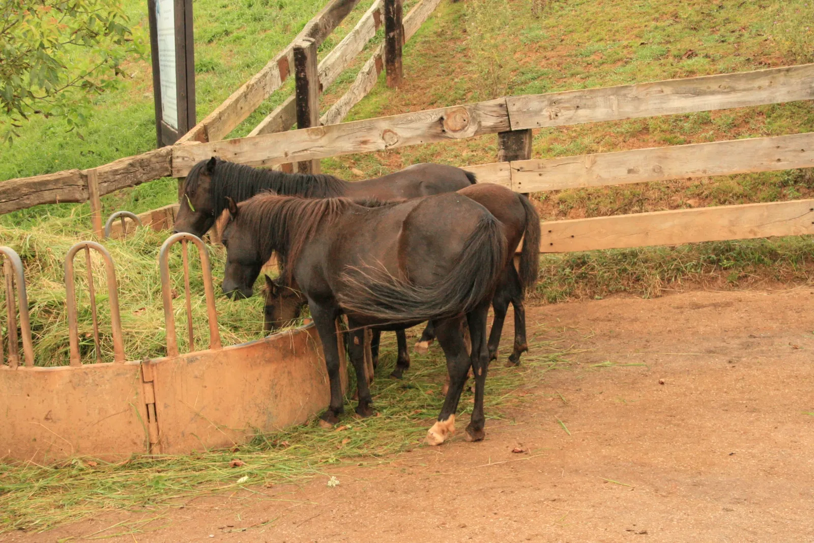 Parque de la Naturaleza de Cabárceno