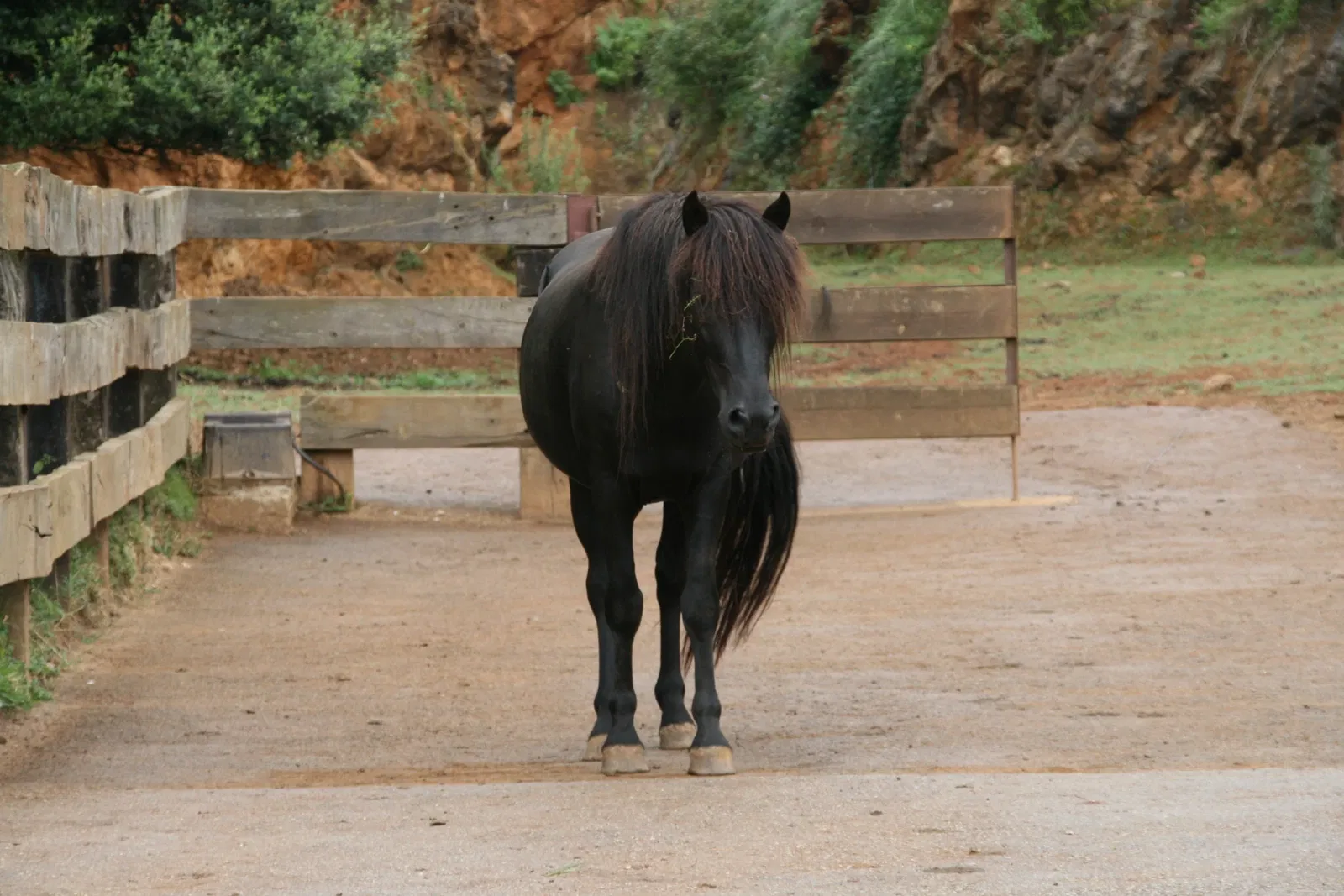 Parque de la Naturaleza de Cabárceno