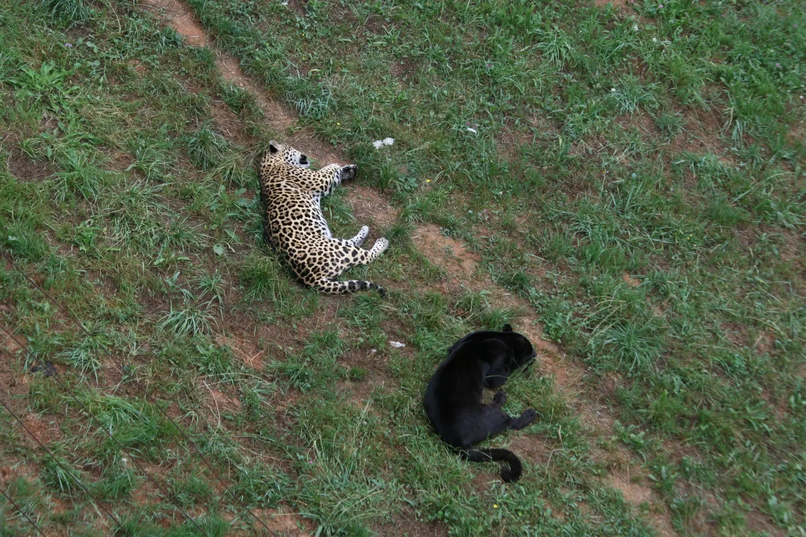 Parc de la nature de Cabárceno