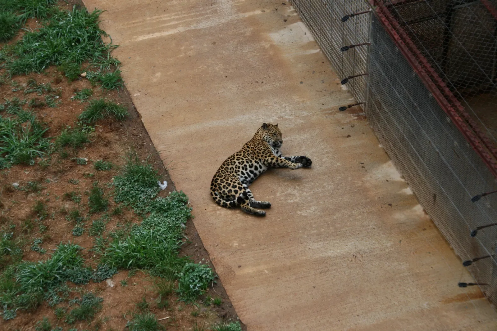 Parque de la Naturaleza de Cabárceno
