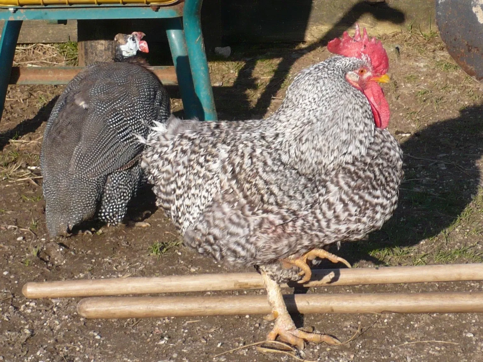 Cabarceno Natural Park