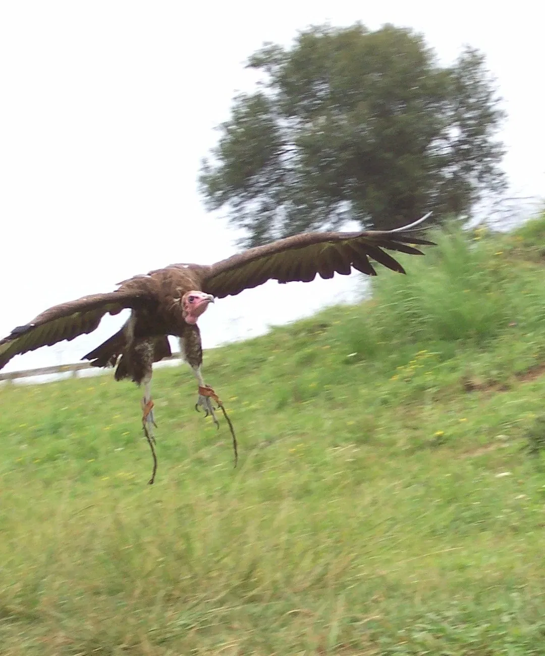 Parque de la Naturaleza de Cabárceno