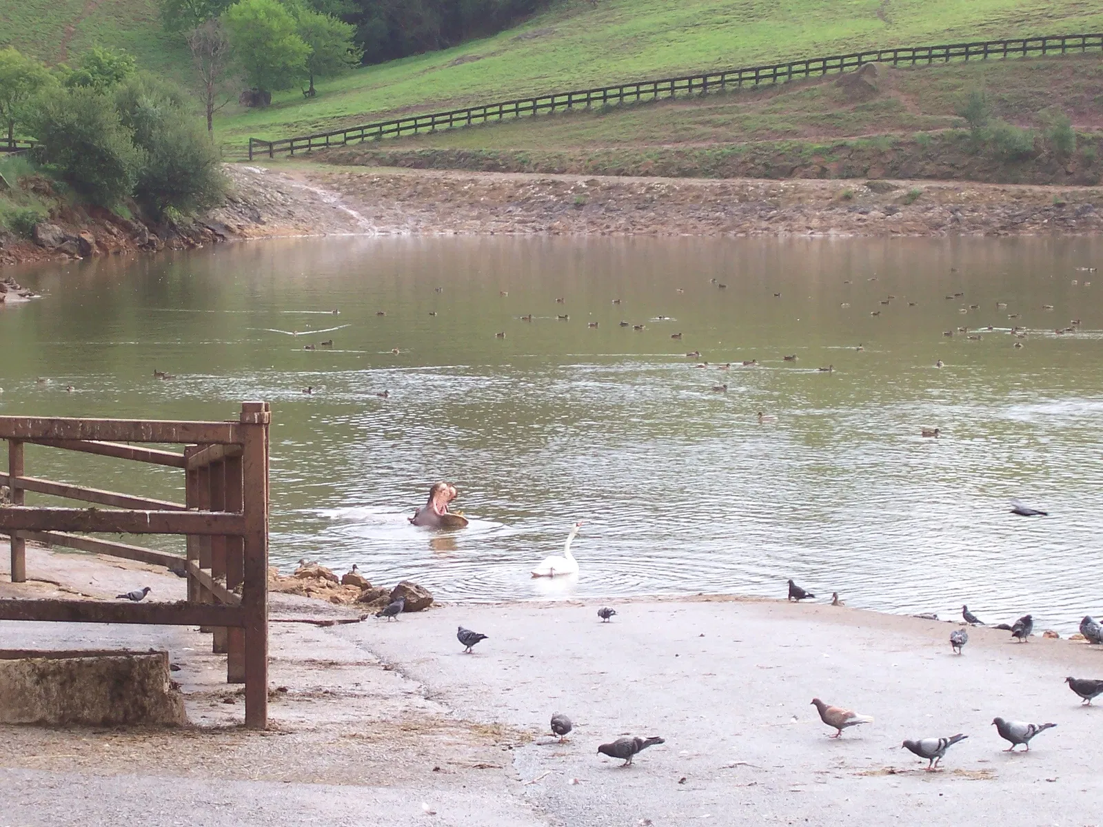 Parc de la nature de Cabárceno