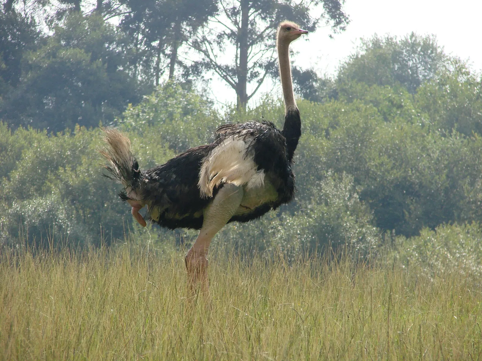 Parc de la nature de Cabárceno