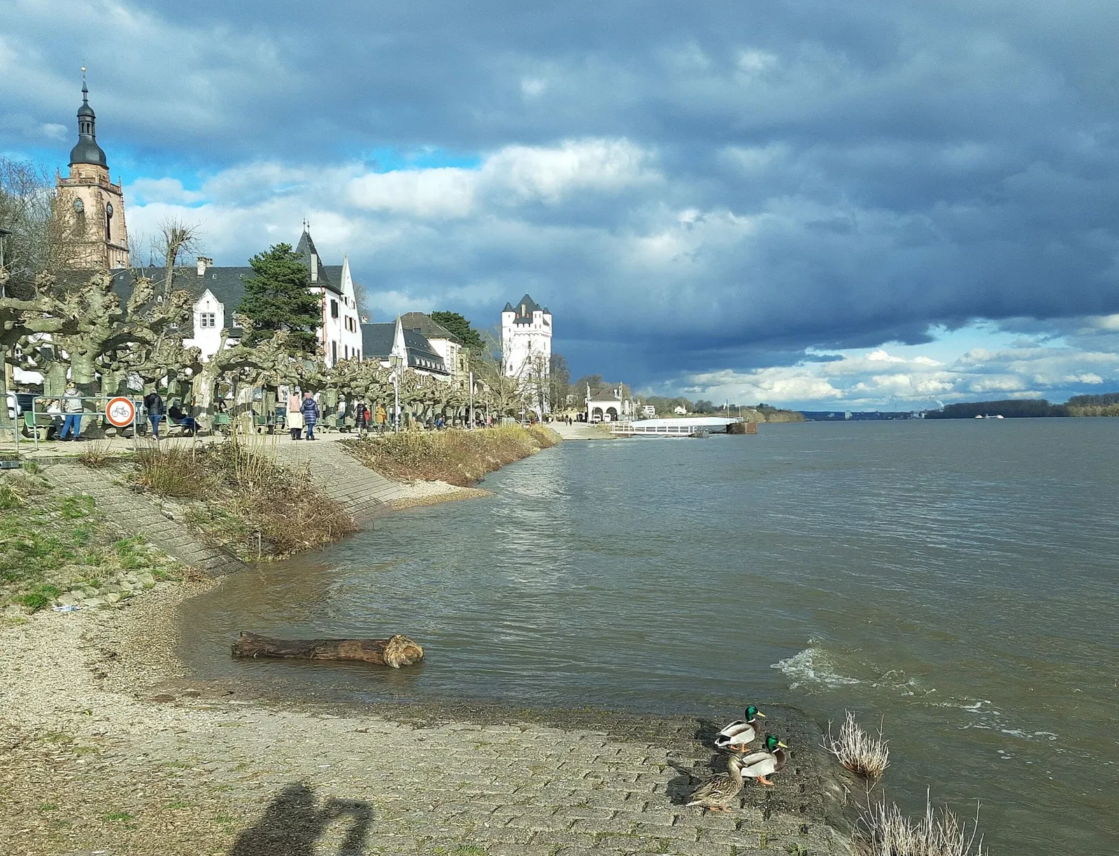 Castello di Eltville