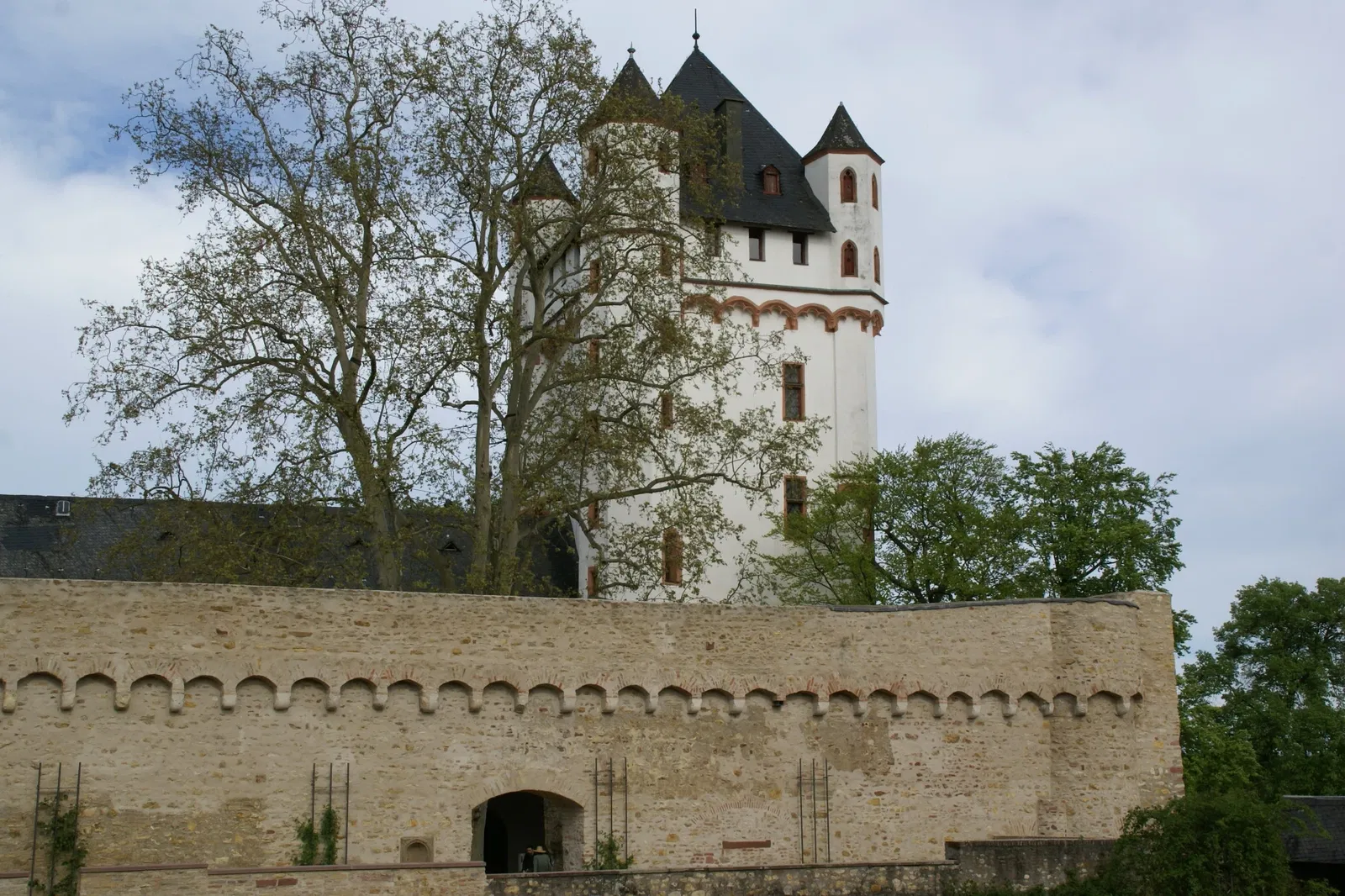 Eltville Castle