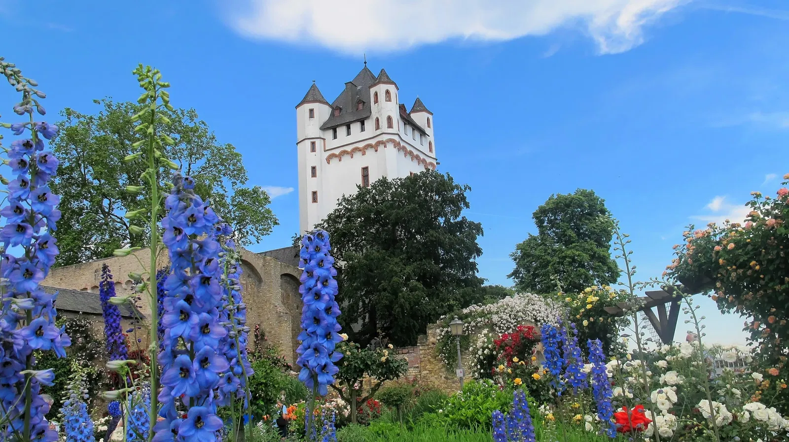 Castello di Eltville