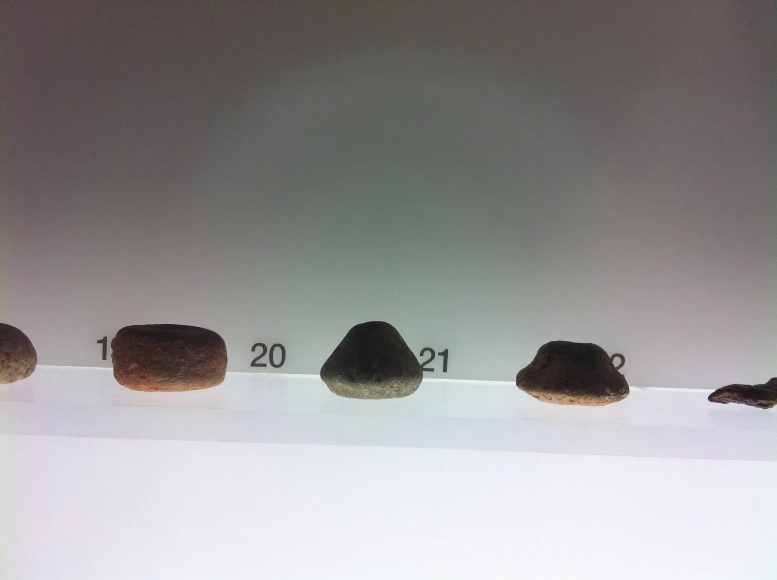 Museu de Sant Boi de Llobregat