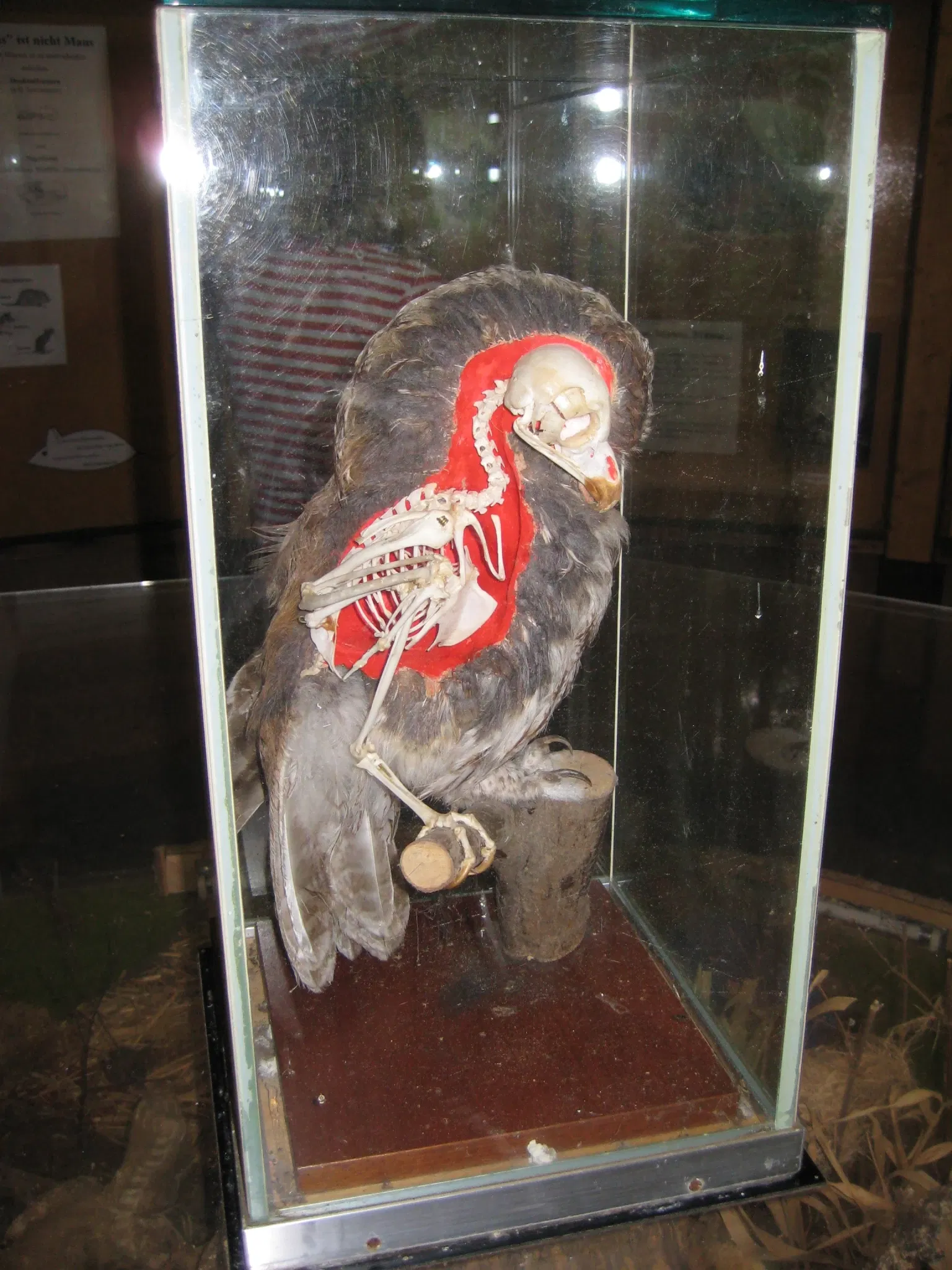 Eekholt Wildlife Park