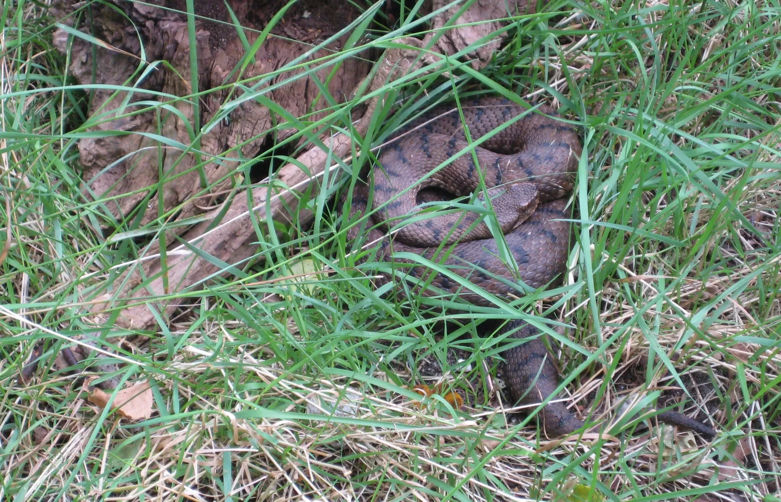 Eekholt Wildlife Park