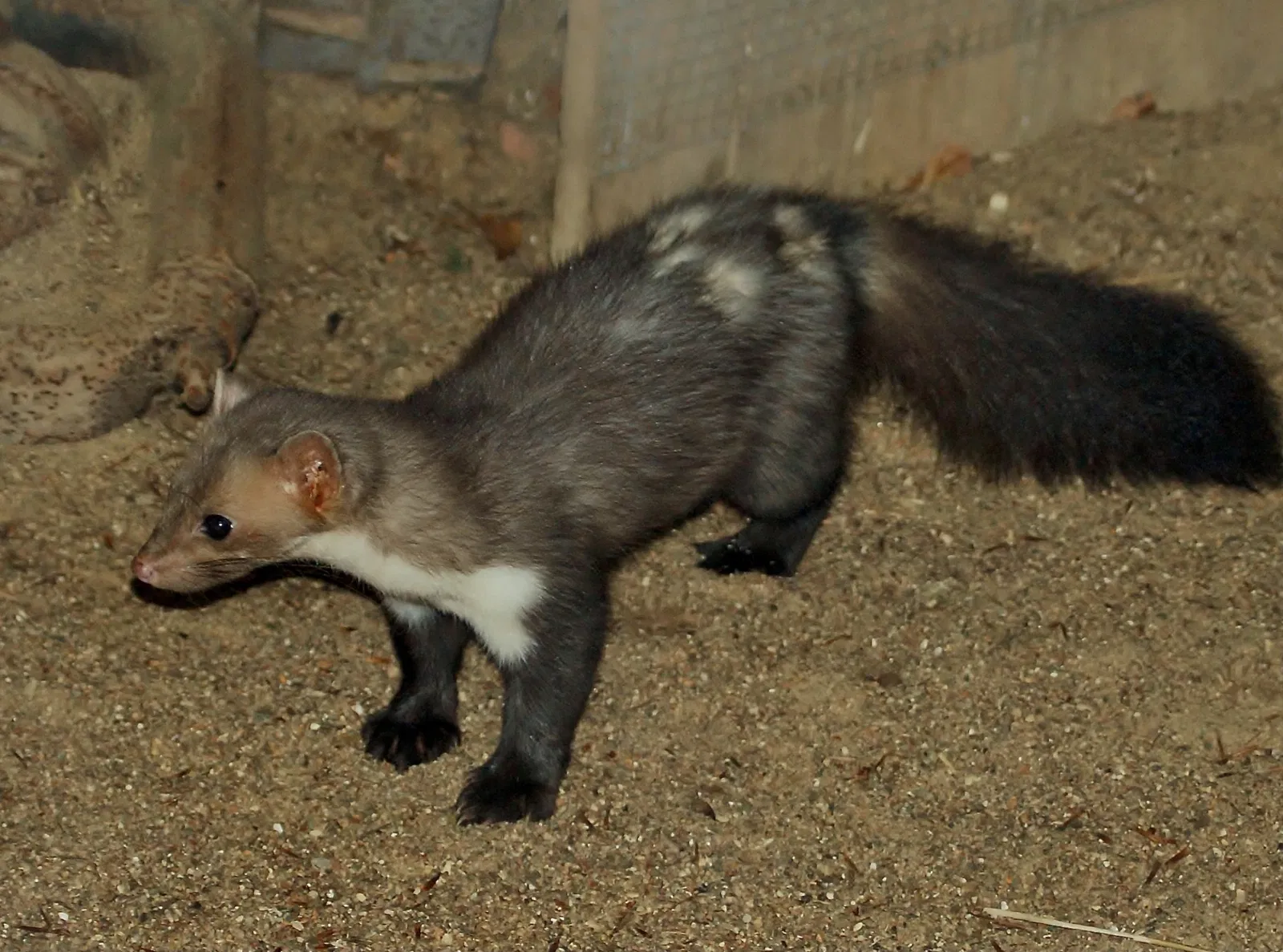 Eekholt Wildlife Park