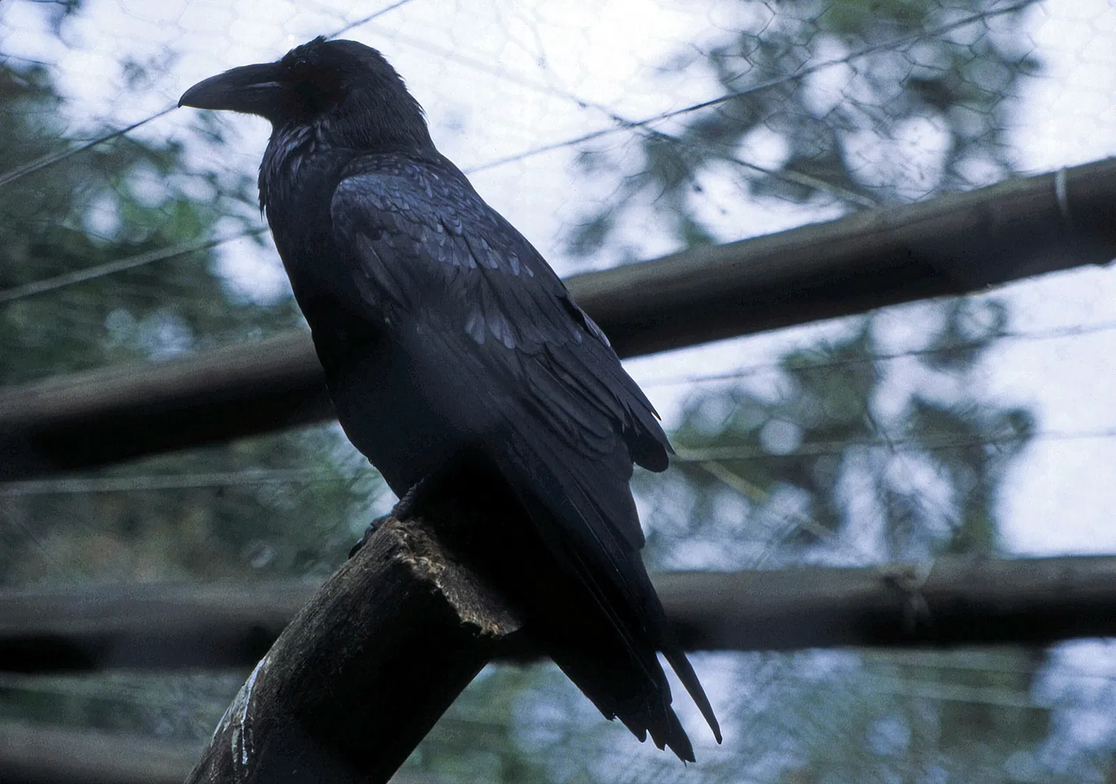 Eekholt Wildlife Park