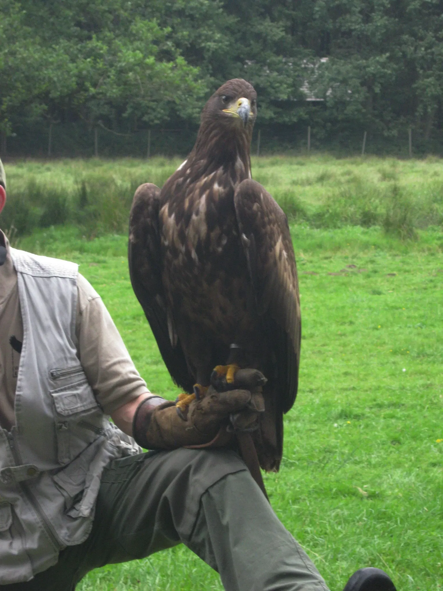 Eekholt Wildlife Park