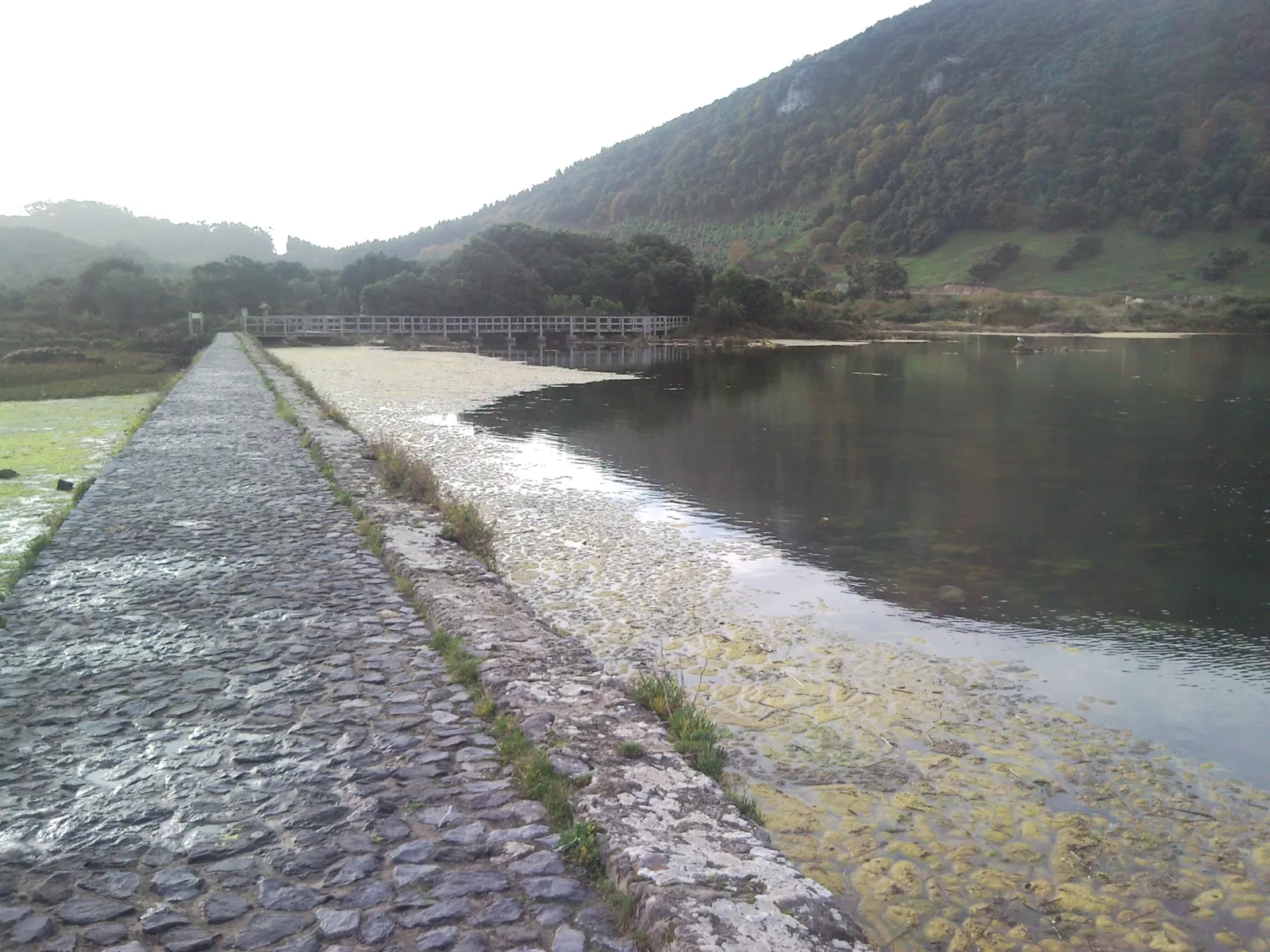 Molino de Santa Olaja