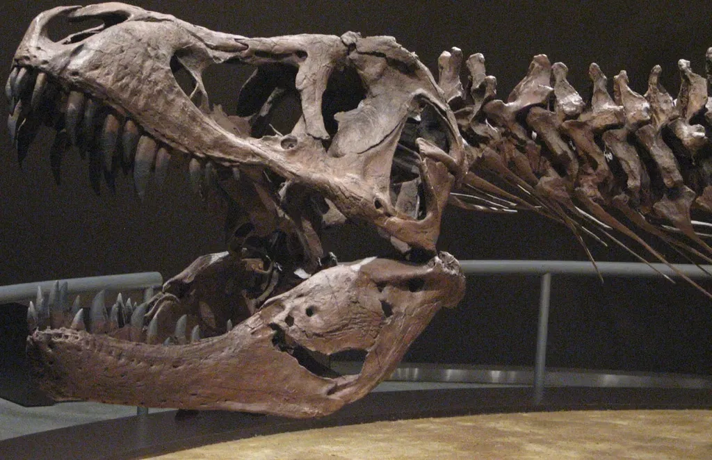 Jurassic Museum of Asturias