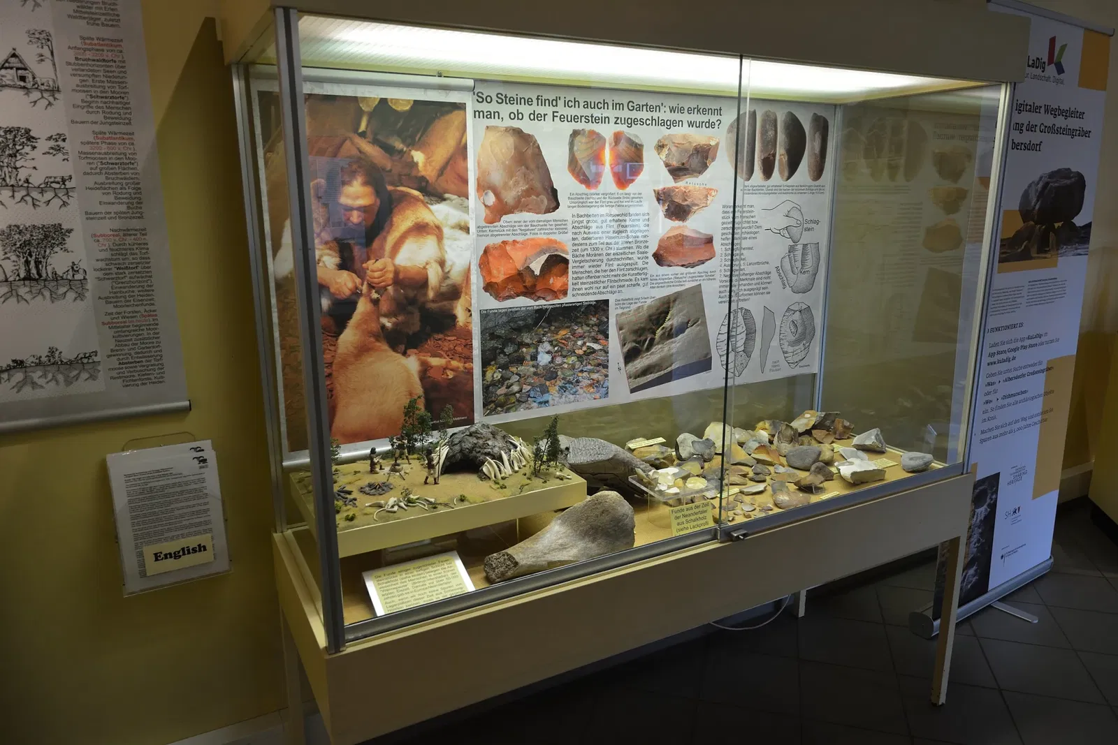 Museum für Archäologie und Ökologie Dithmarschen