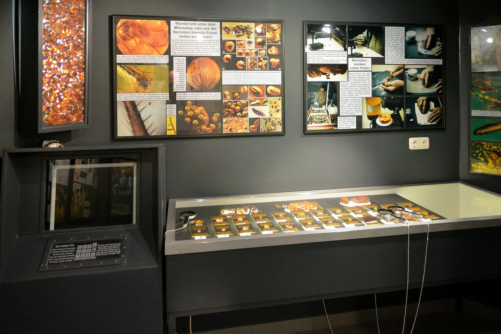 Museum für Archäologie und Ökologie Dithmarschen