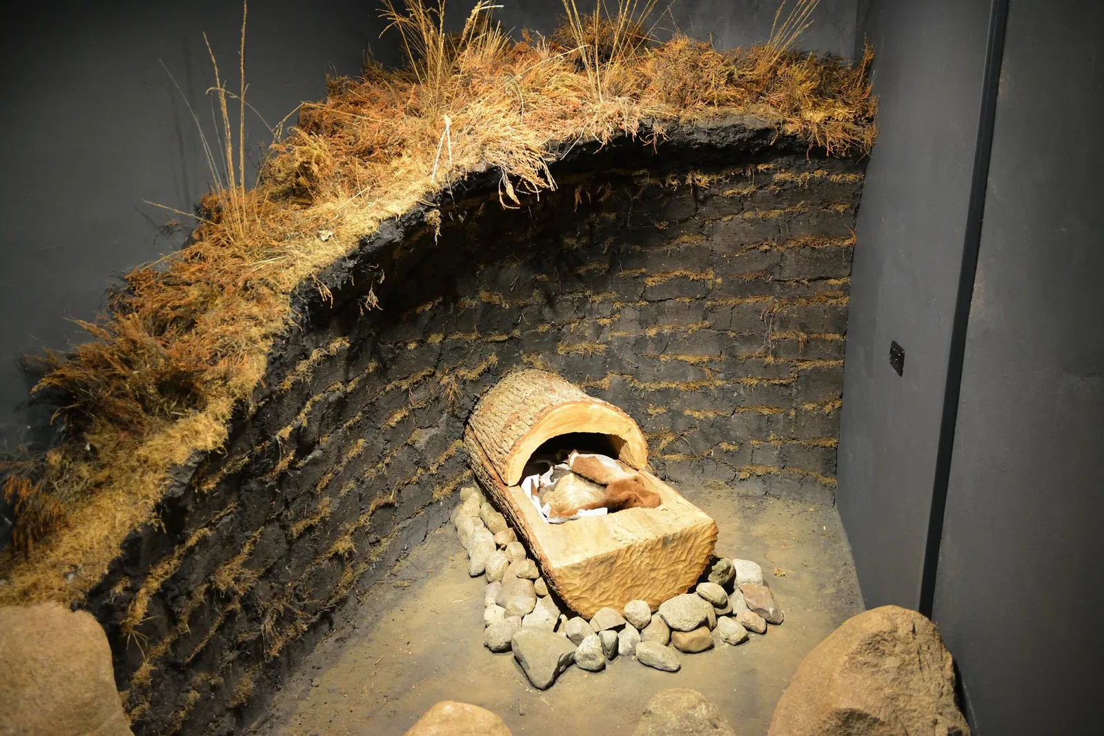 Museum für Archäologie und Ökologie Dithmarschen