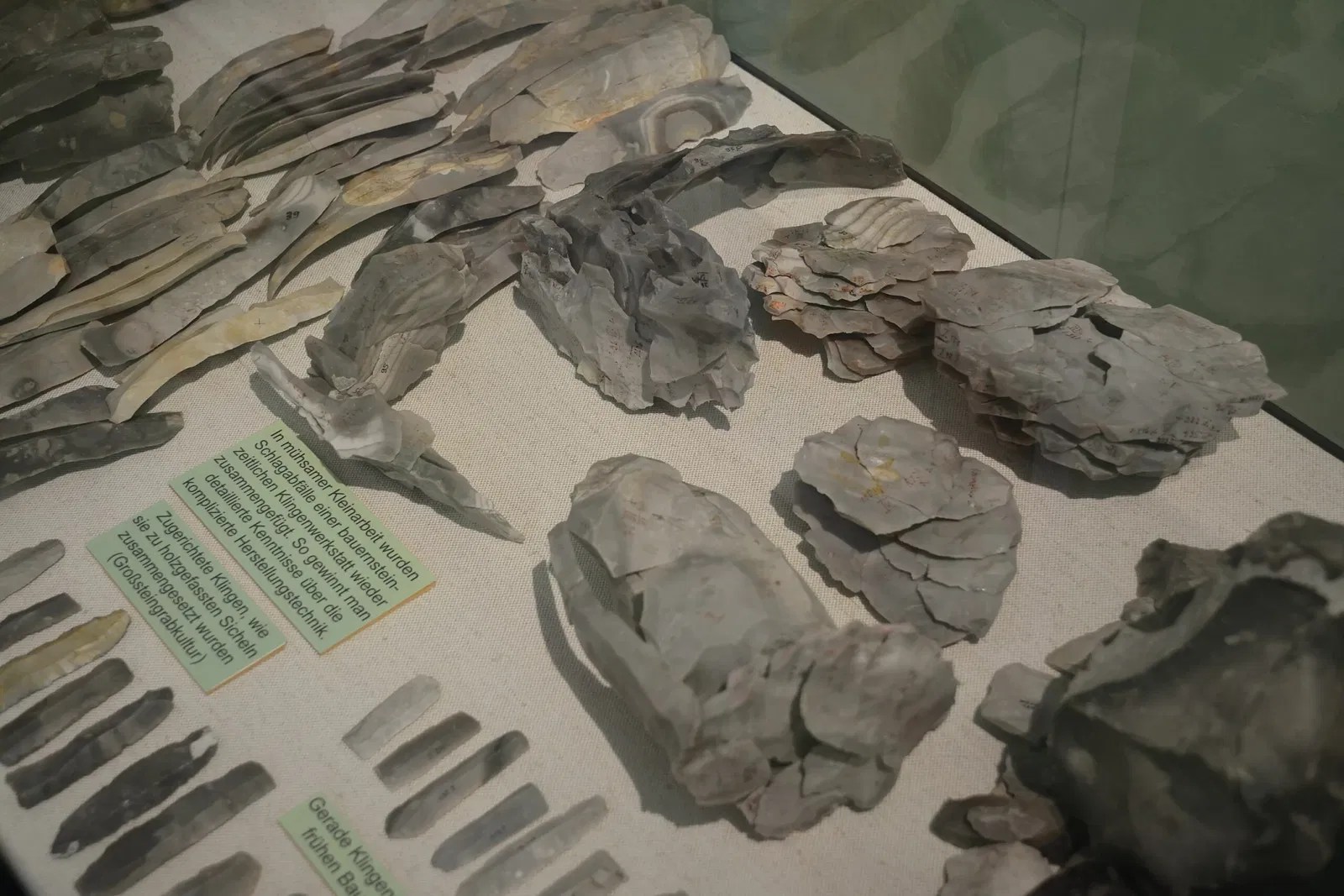 Museum für Archäologie und Ökologie Dithmarschen