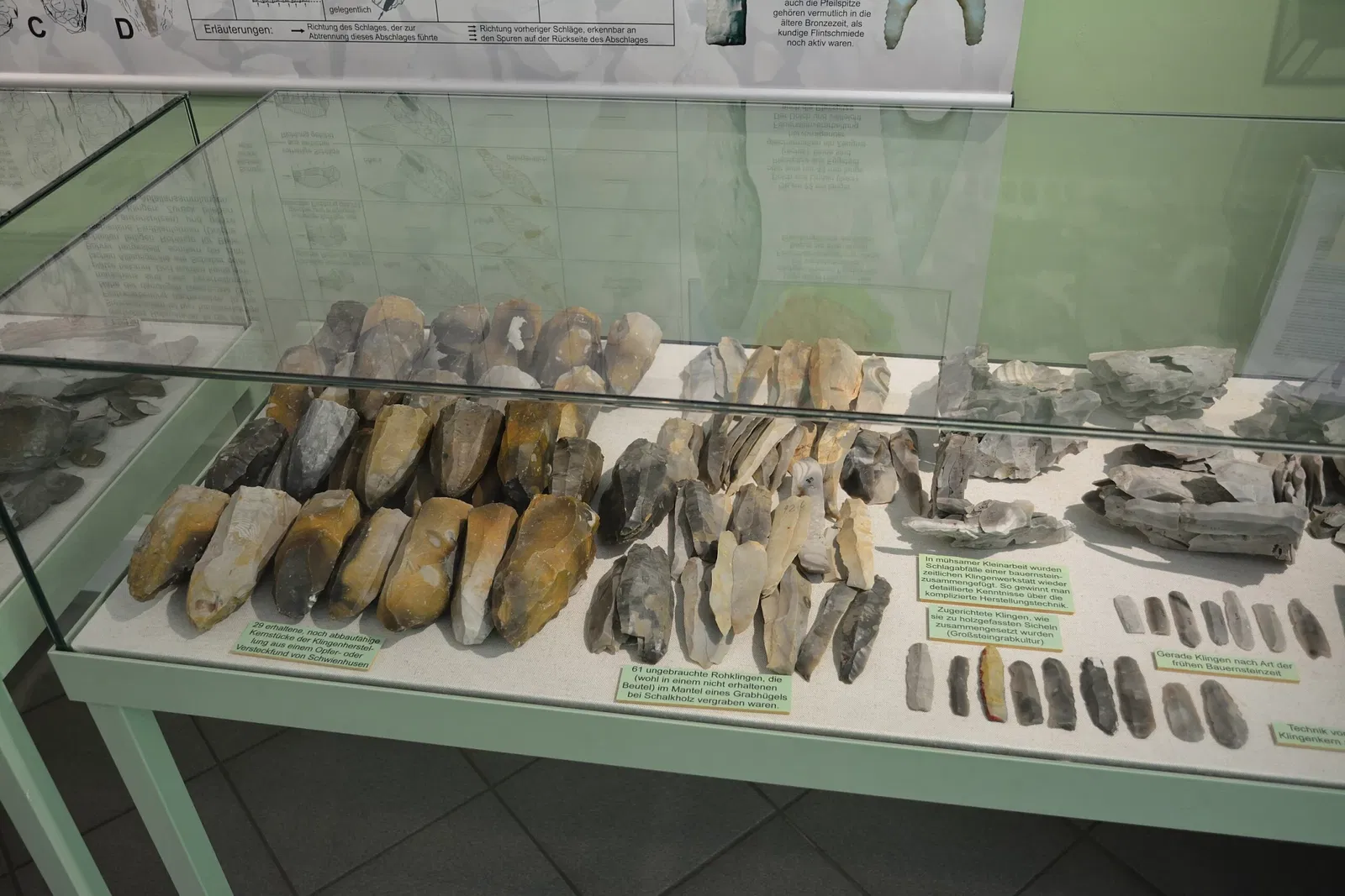 Museum für Archäologie und Ökologie Dithmarschen