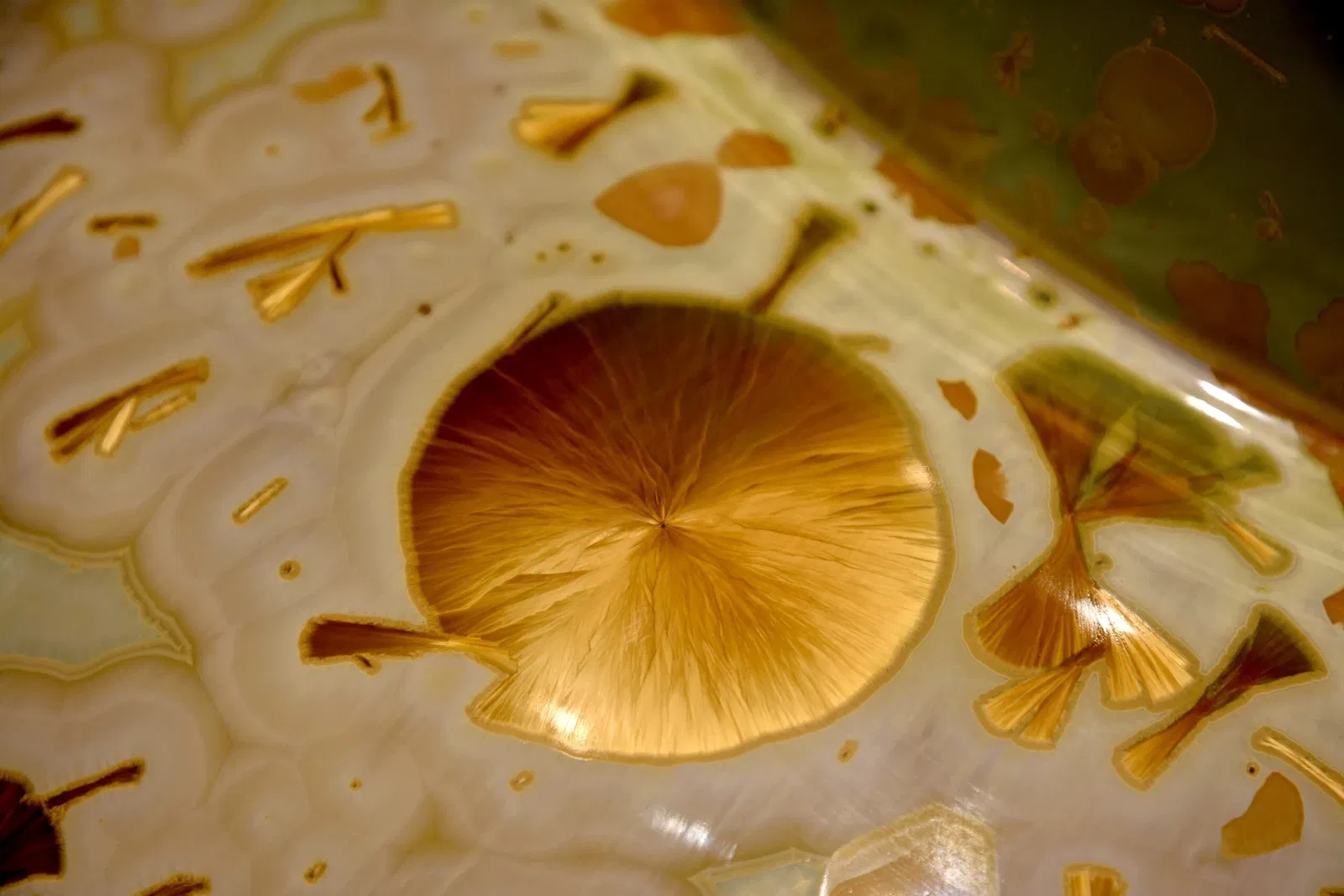 Museum Schloss Fürstenberg