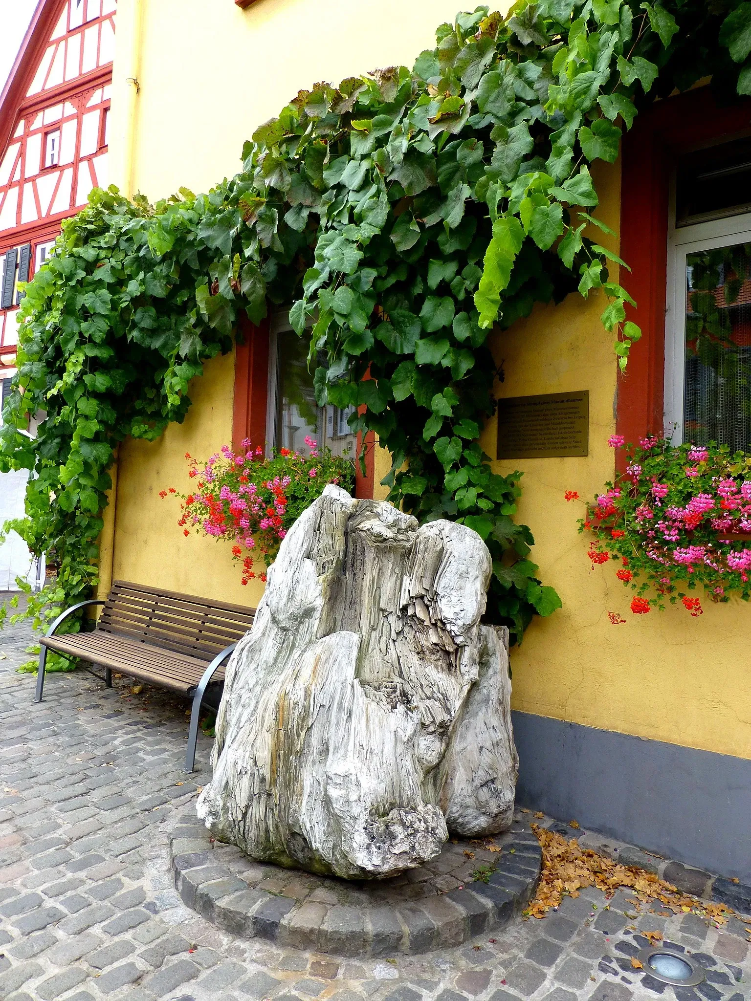 Paläontologisches Museum