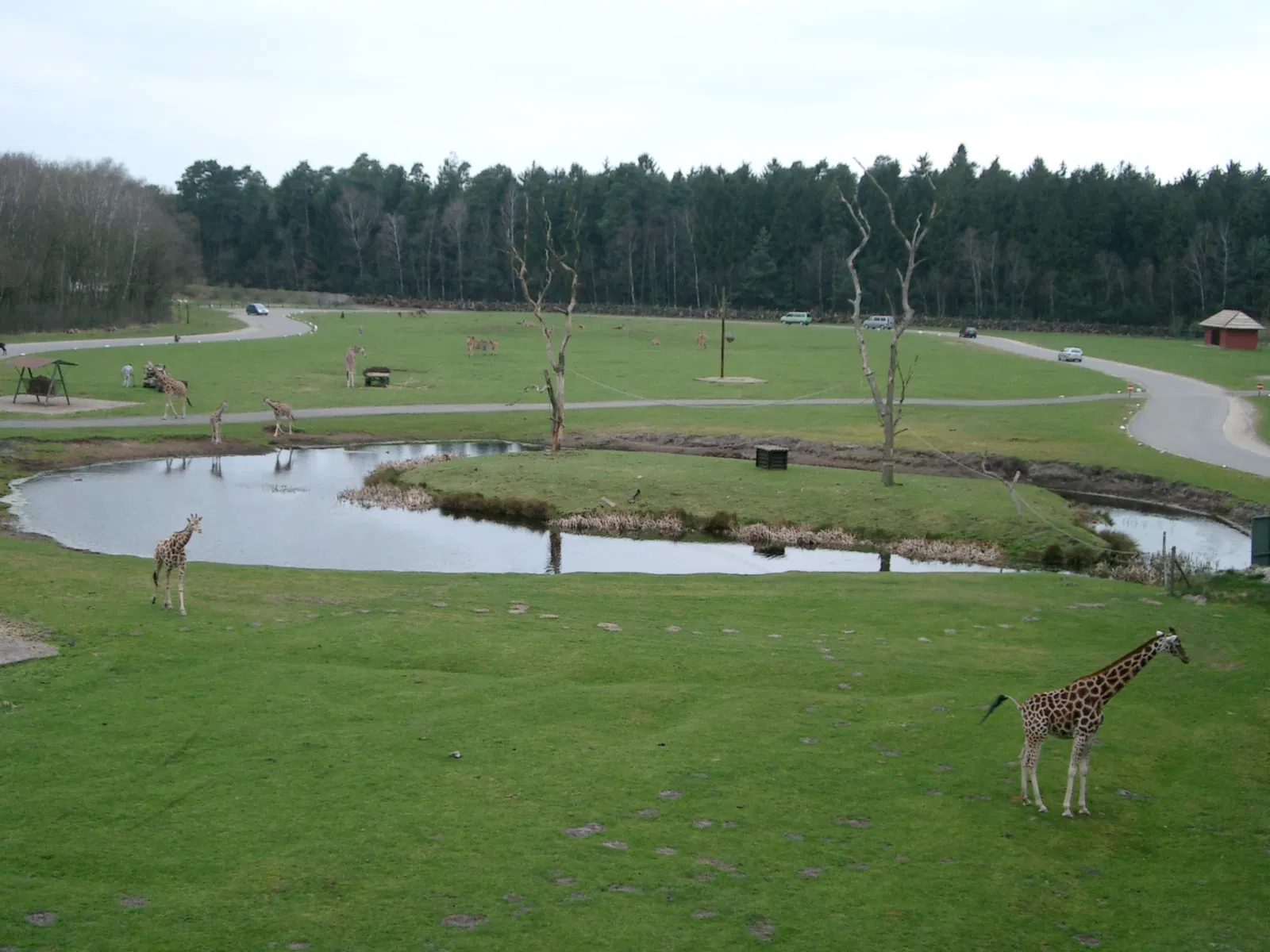Serengeti Park