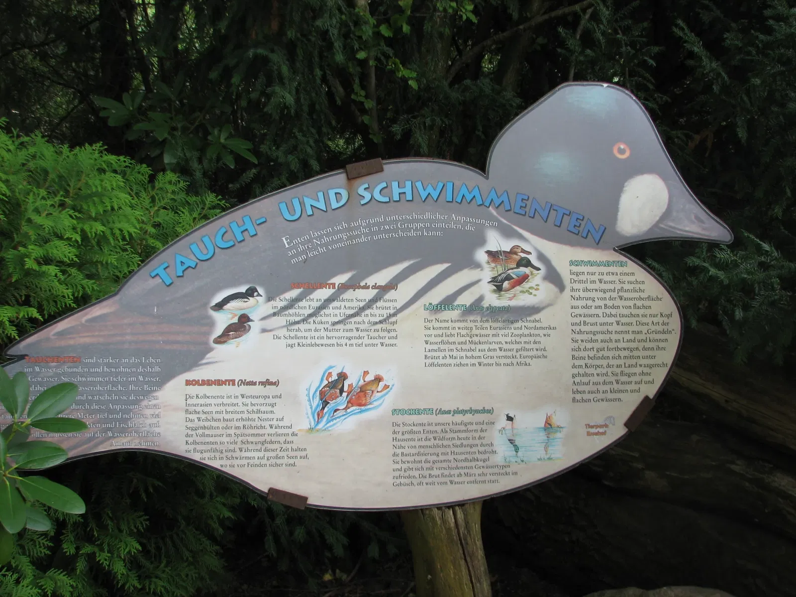 Essehof Zoo