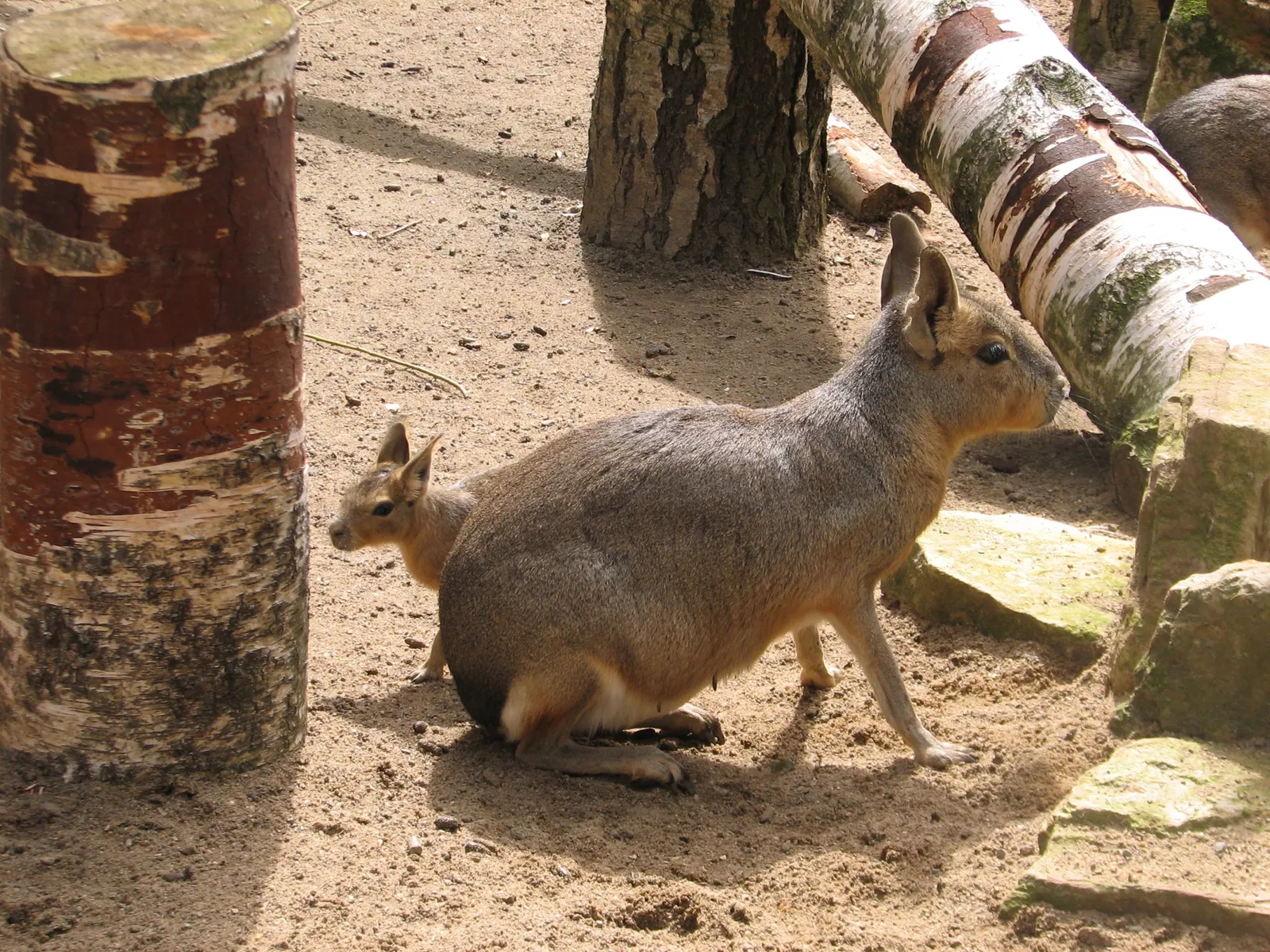 Tierpark Essehof