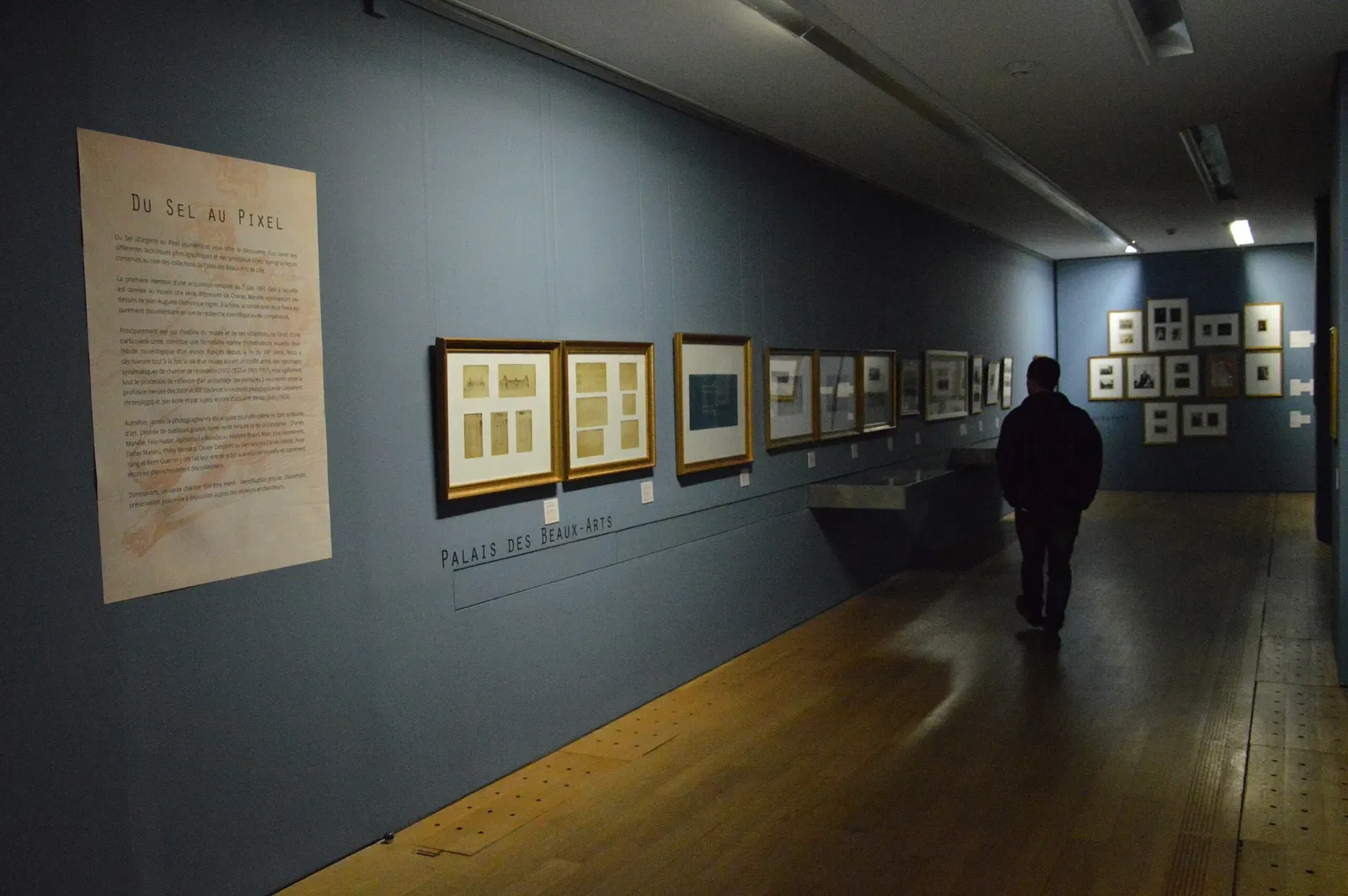 Palais des Beaux-Arts de Lille