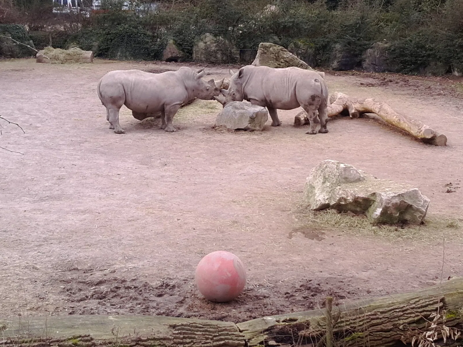 Lille Zoo